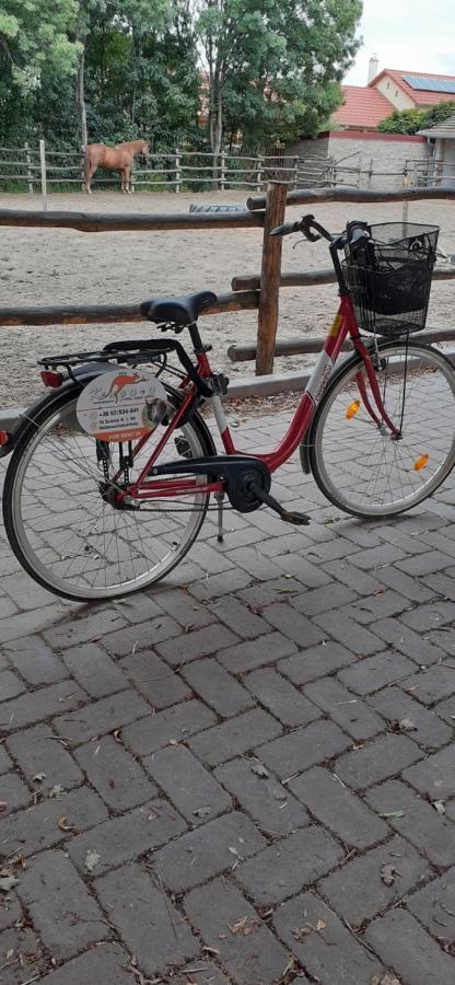 Kenguru Panzió Hódmezővásárhely Exterior foto